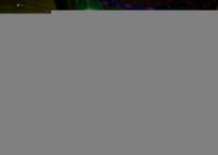 船舶专用配件 锚卸扣、卸扣、锚链与导缆孔的供应与应用